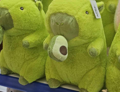 Capybara Kéo Bơ 28cm