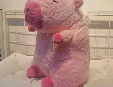 Capybara hồng đeo banh 40cm