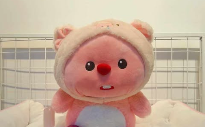 Loopy Heo 28cm