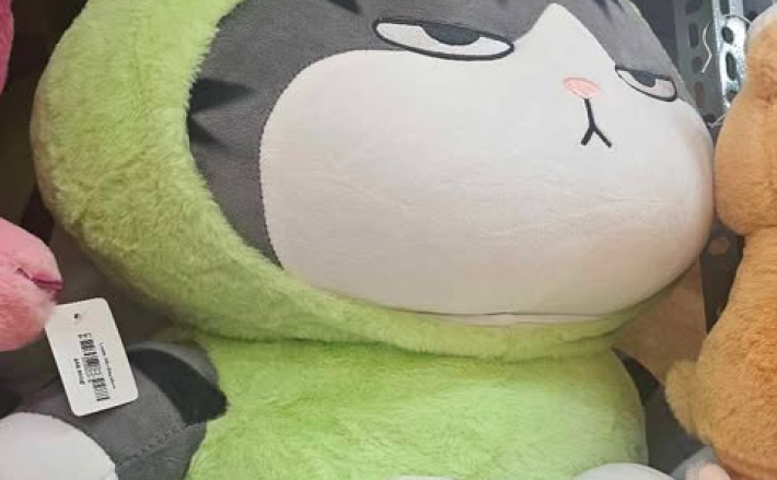 Mèo Hoàng Thượng Ếch 55cm