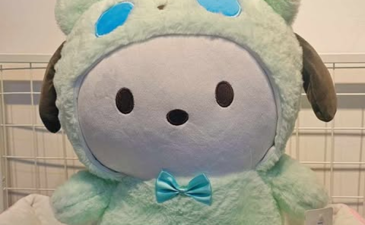 Chó Pochaco 40cm