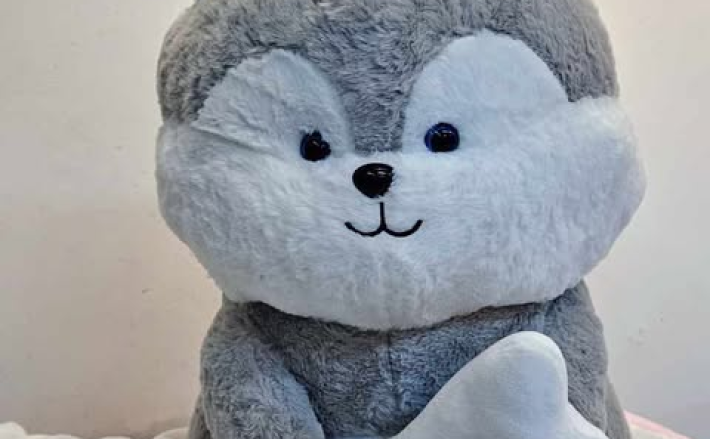 Chó Ôm Xương 45cm