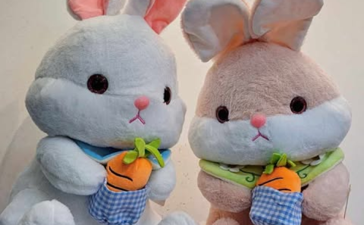 Thỏ Ôm Carrot V2 50cm