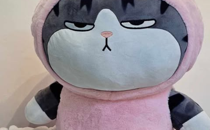 Mèo Hoàng Thượng Thỏ 55cm