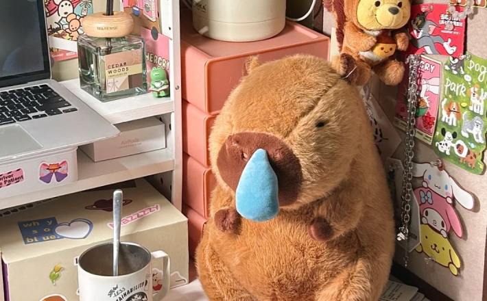 Capybara Kéo Mũi 35cm