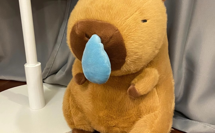 Capybara Kéo Mũi 35cm